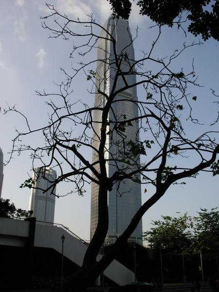 IFC